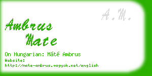 ambrus mate business card